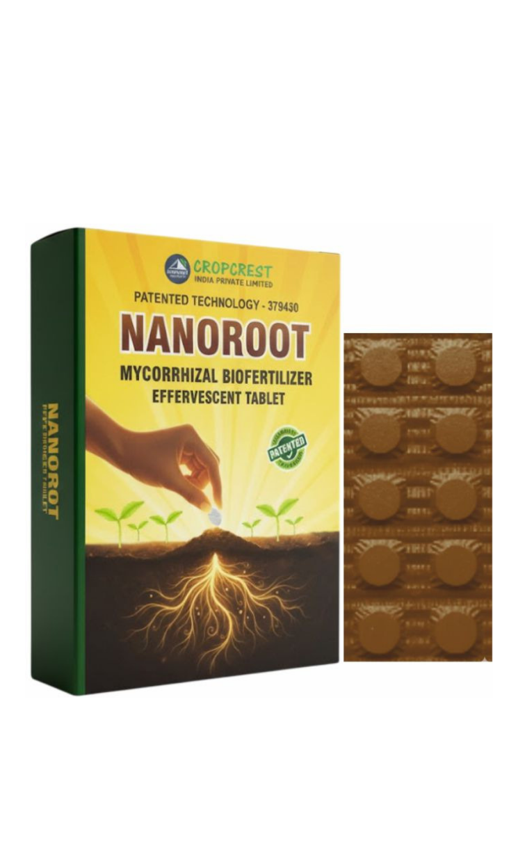NanoRoot